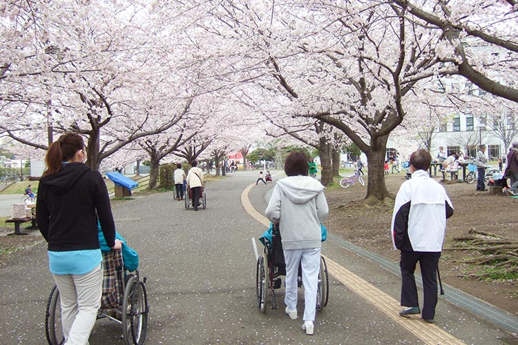 お花見